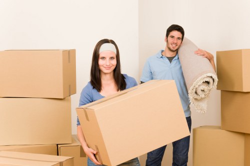 Careful loading of boxes and household items into a van