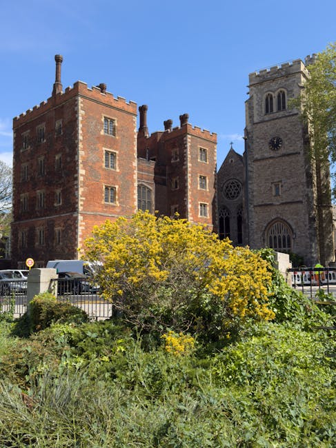 The image depicts the exterior of a historic brick building with multiple narrow windows and a tall chimney, situated behind a metal fence. In the foreground, there is a lush green shrub with yellow flowering clusters, partially obscuring the lower part of the building. To the right, a stone church with a large clock face and arched windows is visible, featuring a crenellated tower. The scene is set during bright daylight with a clear blue sky, and the area includes parked cars along the street. The environment suggests an urban setting with a mix of residential and religious structures, and the overall scene reflects a typical street view where home relocation or moving services, such as those offered by Man with Van St Mary Cray, could operate during house removals or furniture transport tasks involving loading or unloading outside properties.